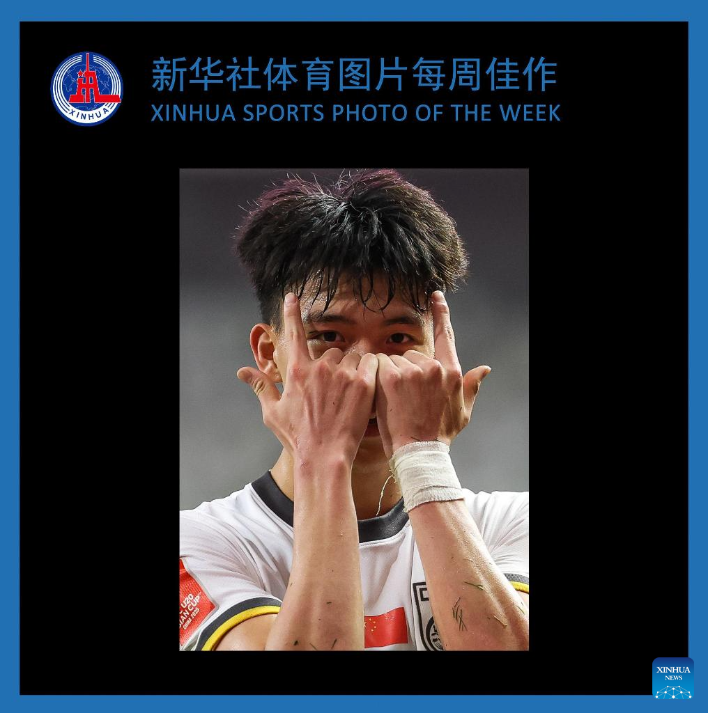 稳健发挥