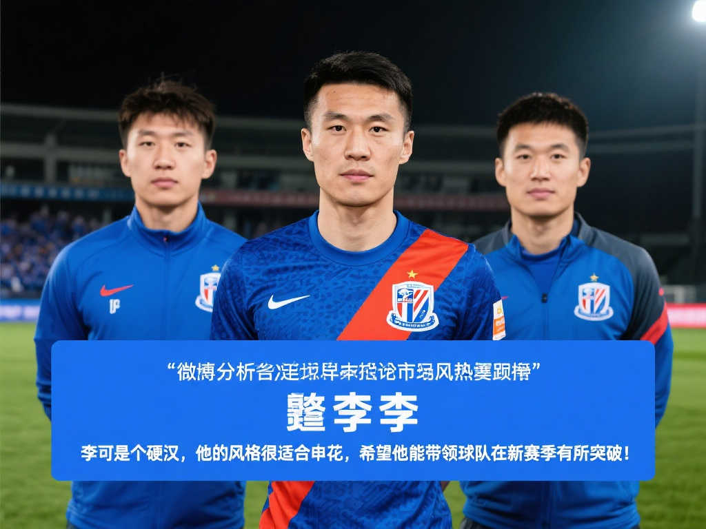 们提供了一